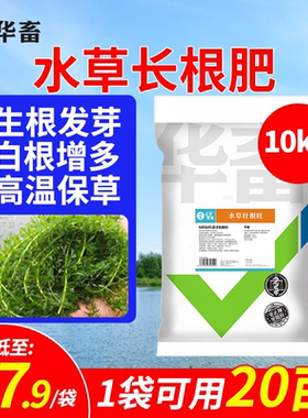 华畜水草生根粉水草壮根肥剂轮叶黑藻伊乐藻肥水草液肥鱼塘专用肥