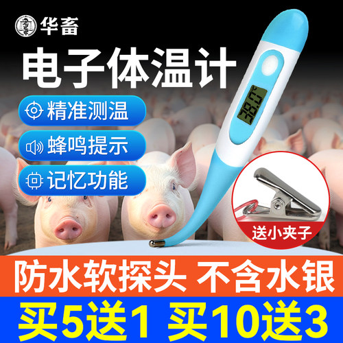 兽用体温计电子宠物猪用猫咪温度