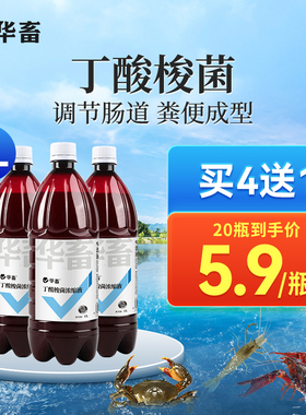 华畜丁酸梭菌水产养殖专用改善肠道预防肠炎白便空肠胃em菌种