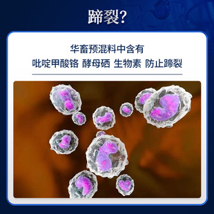 华畜4%肉牛饲料肉羊预混料 育肥羊饲料 牛催肥饲料牛羊饲料添加剂