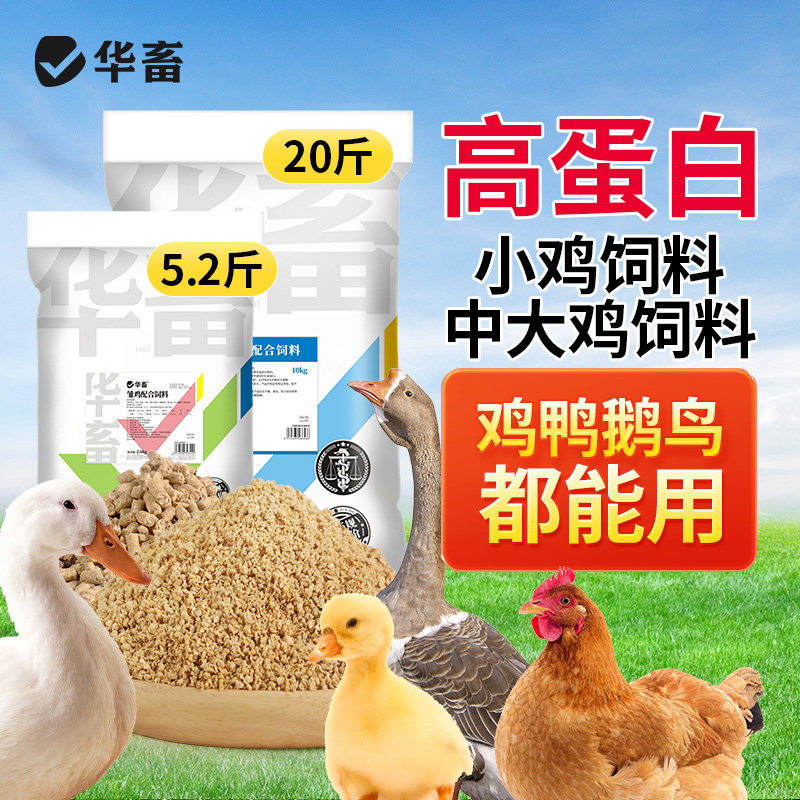 华畜小鸡饲料芦丁鸡鹌鹑开口料鸭产蛋鸡专用中大幼雏鸡高蛋白粮食