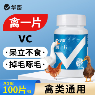 华畜禽一片禽类急救包鸡鸭鹅养殖专用抗应激常备急救片