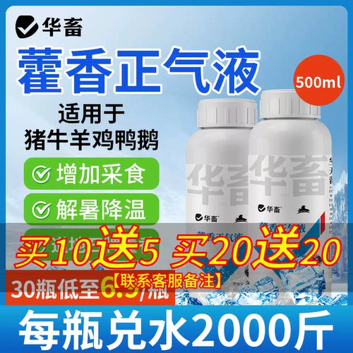 华畜兽用藿香正气液兽用暑解清热
