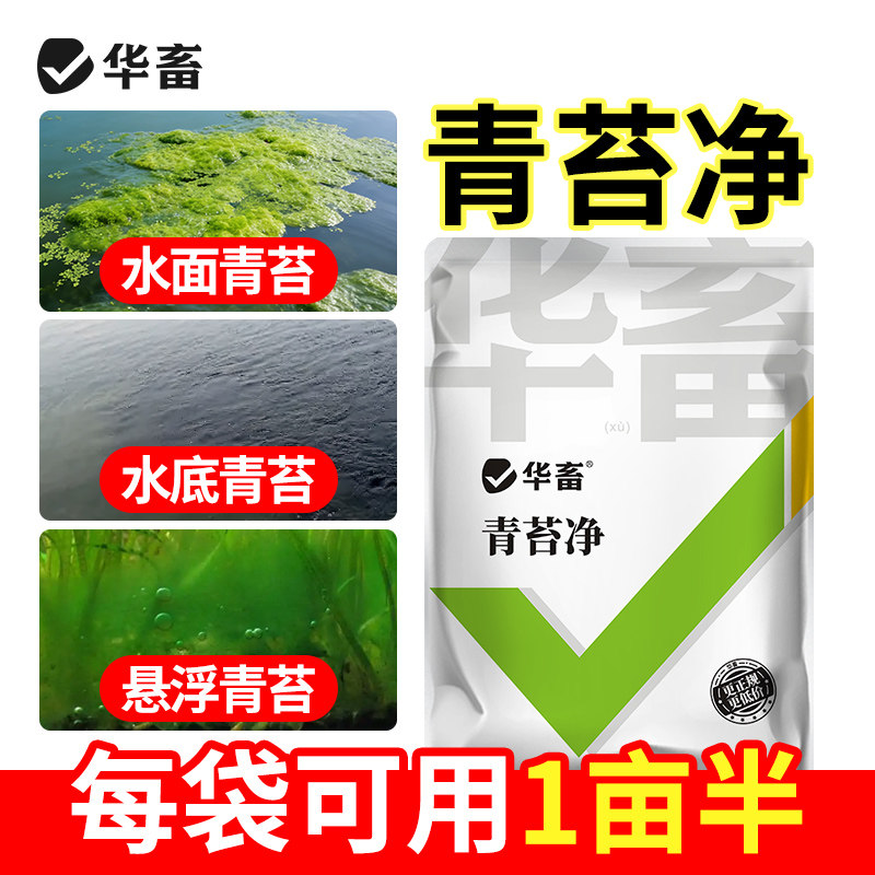 华畜青苔净去苔剂除绿藻褐藻黑毛藻神器不伤鱼虾蟹保苗稳水产养殖
