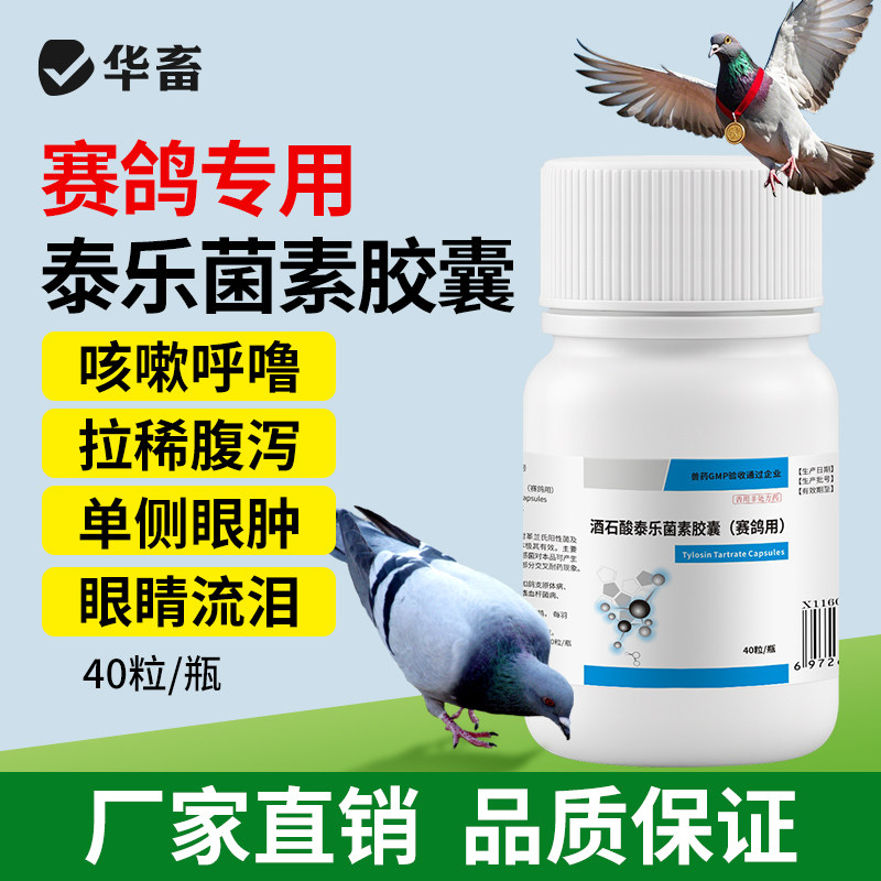 华畜兽药兽用酒石酸泰乐菌素胶囊小鸡鸭家禽赛鸽子咳嗽肺炎支原体