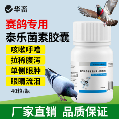 华畜兽药兽用酒石酸泰乐菌素胶囊小鸡鸭家禽赛鸽子咳嗽肺炎支原体