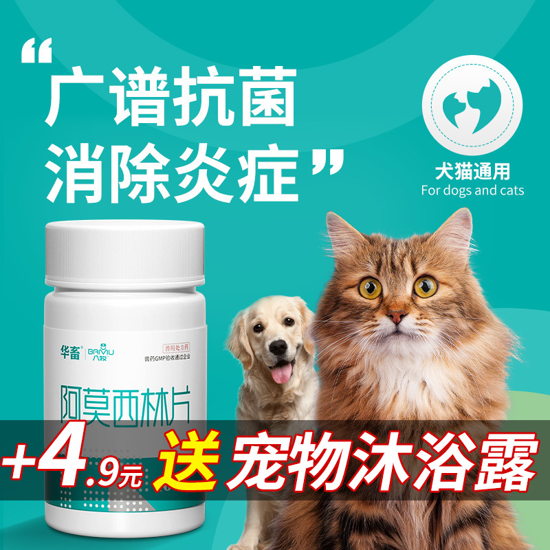 华畜狗狗猫咪感冒药打喷嚏