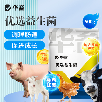 华畜优选益生菌兽用猪牛羊活菌催肥促长降氨气调理肠道