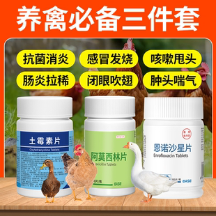 华畜救禽用鸡鸭鹅用抗菌消炎感冒发烧咳嗽甩头肠炎拉稀广谱抗菌药