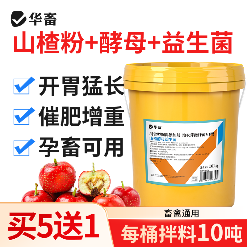 华畜山楂酵母益生菌开胃益生菌