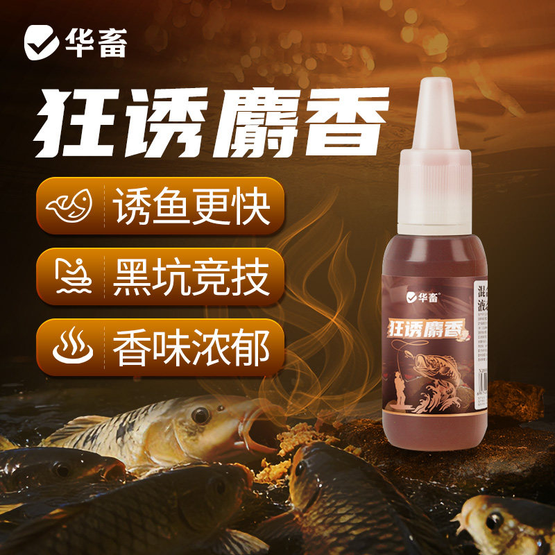 华畜高浓度麝香中药酒钓鱼小药黑坑野钓通用鲫鱼草鱼鲤鳊鱼诱鱼
