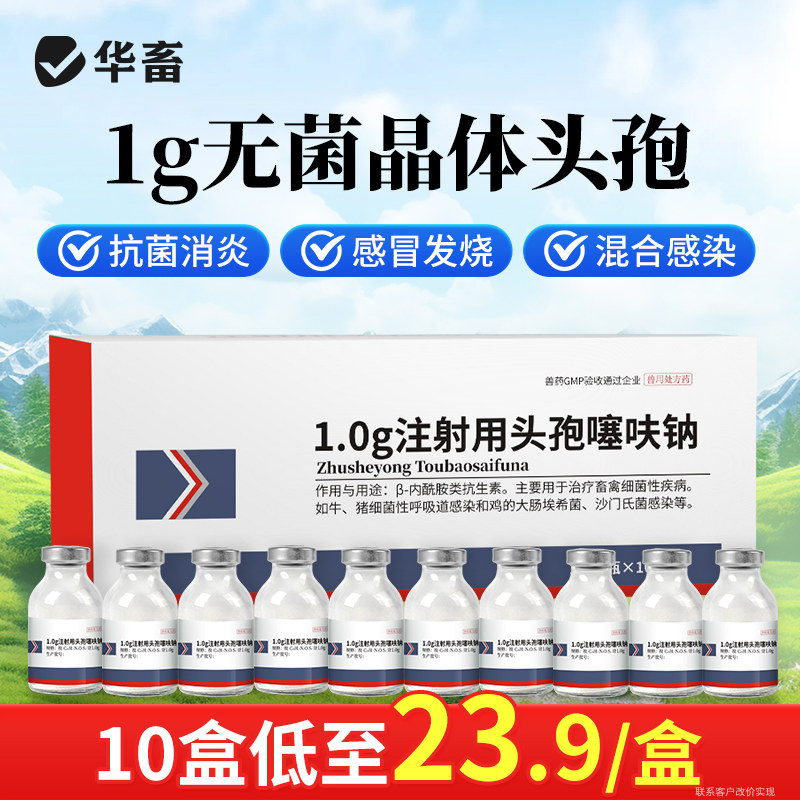华畜兽用注射头孢噻呋钠猪牛羊速溶头孢粉抗菌消炎退烧药养殖场用