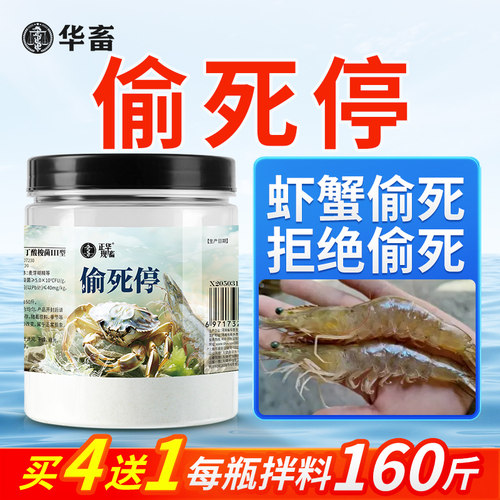 华畜虾蟹偷死停对虾罗氏虾空肠空胃拖便螃蟹趴边红体厌食白斑弧菌