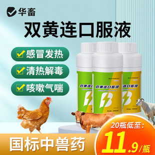 华畜兽药双黄连口服液鸡鸽狗猪牛羊感冒咳嗽清瘟清热解毒兽用中药
