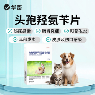 华畜宠物头孢羟氨苄片狗狗用消炎药猫咪用羟氨片伤口消肿止痛消炎