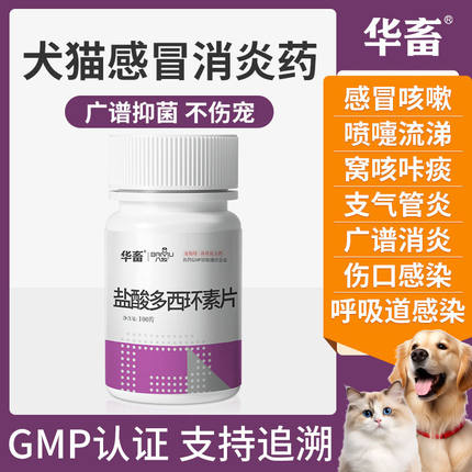 犬猫药盐酸多西环素片狗狗鼻支治疗药宠物咳嗽药猫咪感冒药犬窝咳
