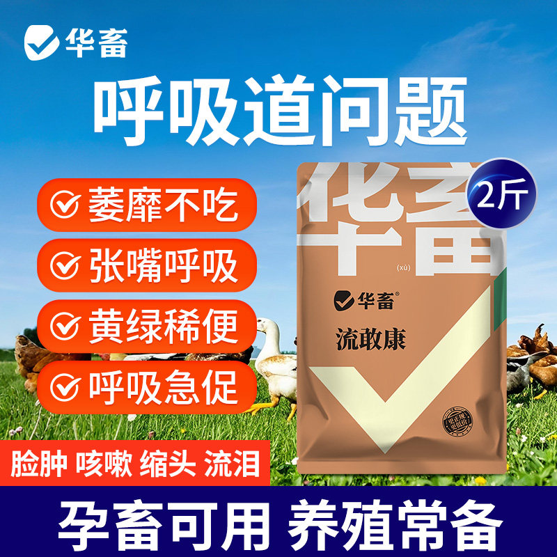 华畜流敢康兽用猪牛羊鸡鸭鹅用咳嗽呼噜流鼻涕鱼腥草甘草添加剂