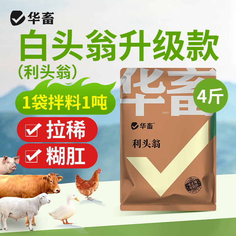 华畜利头翁兽用猪牛羊鸡鸭鹅肠炎腹泻拉稀拉白便仔猪止泻白头翁散