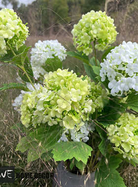 亮绿色白色绣球仿真花现代家居装饰摆件客餐厅台面酒店样板房装饰