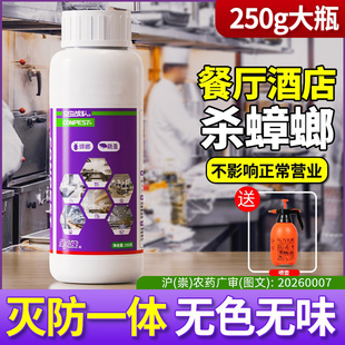 呋虫胺蟑螂药虫虫战队杀虫剂酒饭店专用全窝非无毒端灭跳蚤药500g