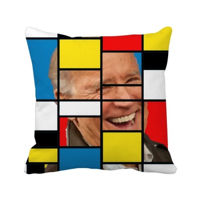 拜登美国总统隐藏嘲笑 方形抱枕睡眠靠枕沙发靠垫双面含芯