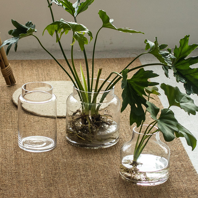 南十字星透明大肚玻璃绿萝涧花瓶