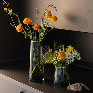 南十字星 轻奢金边透明玻璃花瓶客厅鲜花插花餐桌高级感花器 葛蕾