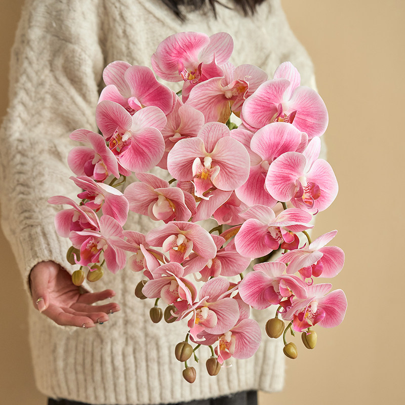 高品质蝴蝶兰仿真花高级感逼真保湿手感兰花假花摆件客厅餐桌插花
