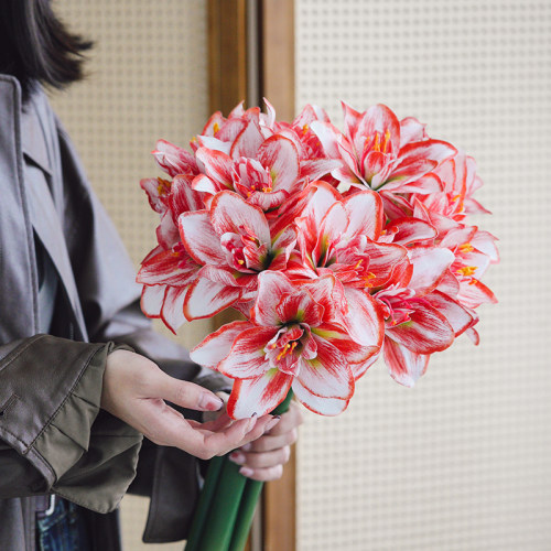 南十字星 高品质朱顶红仿真花轻奢高端客厅餐桌假花花艺拍摄道具