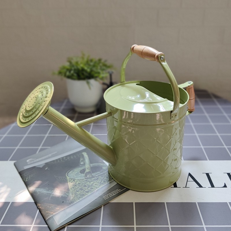 出口铁质彩色浇花壶活动花洒淋花壶浇水壶木柄把手两用洒水壶3.5L,鲜花速递/花卉仿真/绿植园艺,洒水/浇水壶,淘宝优惠券,粉丝福利购,淘宝优惠卷