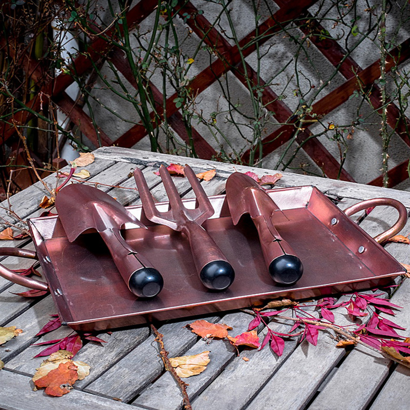 et095c田园乡村出口多色多肉植物