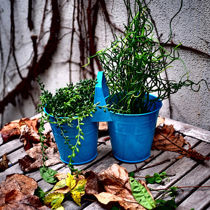 VB2K77出口欧美日韩铁制园艺多肉植物小花盆套盆多色高品质