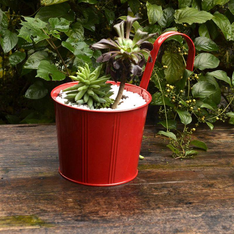 出口日韩系列园艺家居彩色吊盆花盆阳台挂盆镀锌铁式悬挂垂吊花盆,鲜花速递/花卉仿真/绿植园艺,花盆,淘宝优惠券,粉丝福利购,淘宝优惠卷