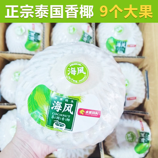 海风椰青新鲜椰子大果纯天然椰汁泰国水果码头900g整箱送开椰器