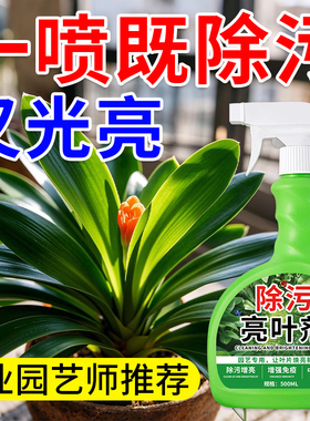 花卉除污亮叶剂室内植物盆栽一喷净营养光亮免稀释叶面肥料养护叁