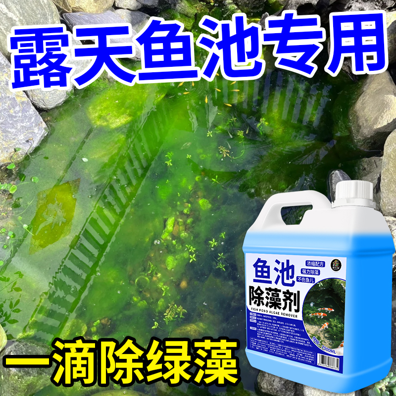 鱼池除藻去苔剂青苔清除剂不伤鱼户外鱼池水池绿黑毛水藻清除剂の