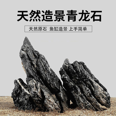 天然精品青龙石鱼缸造景石原石真石头草缸假山小块盆景微景观美观