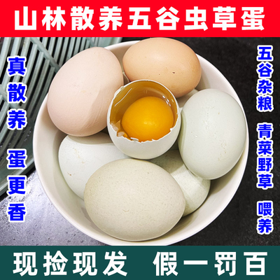 正宗农家土鸡蛋散养食用谷子玉米鸡蛋月子鸡蛋柴鸡蛋新鲜包邮