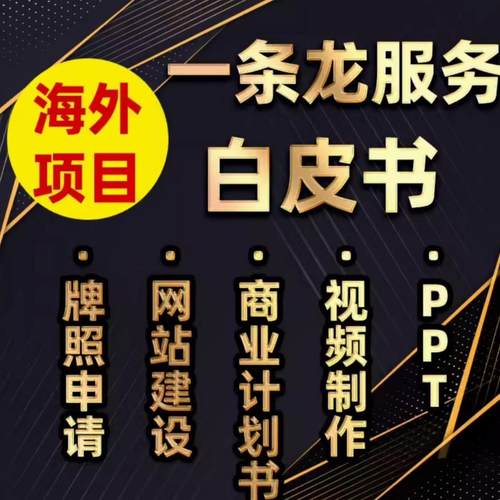 官网项目白皮书包装服务活动宣传策划视频方案制作一站式PPT设计