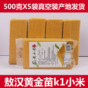 2025黄小米新米香糯黏稠小黄米5斤装内蒙赤峰敖汉小米五谷杂粮粥