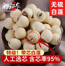 【特级品】 带心白莲子干货500g无硫寸三莲有芯磨皮湘潭湘莲特产