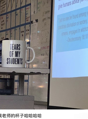 TEARS OF MY STUDENTS mug我的学生的眼泪简约黑色字体陶瓷马克杯