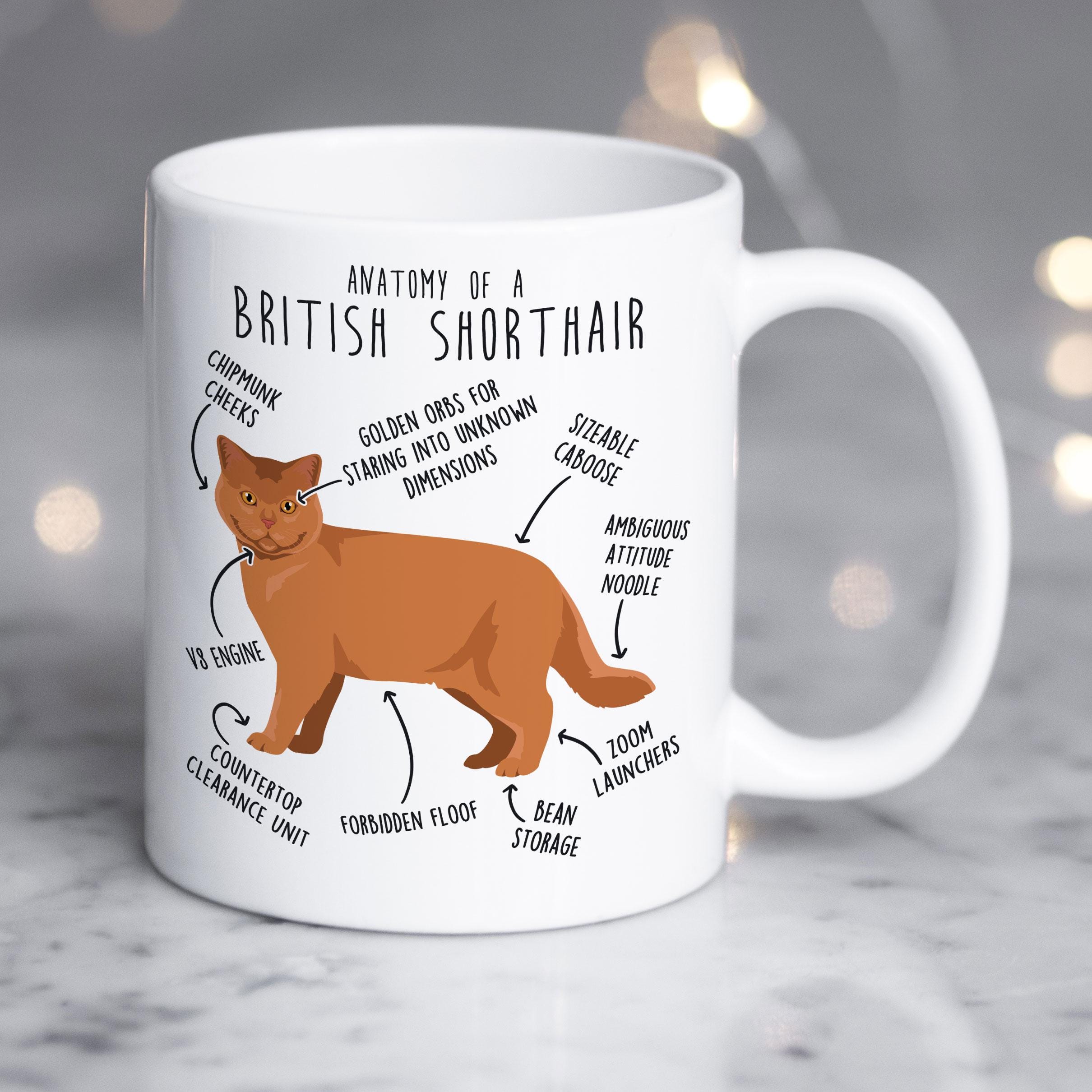 红色英国短毛猫咖啡杯猫咪杯子礼物英文咖啡杯简约水杯陶瓷马克杯