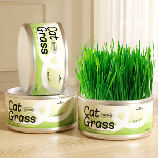 HELLOJOY猫草种子栽培罐头盒装 3罐 猫草罐头懒人猫草助消化去毛球