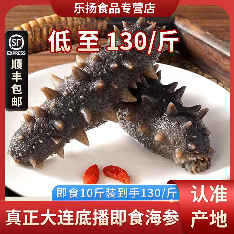 乐扬先活大连即食海参10斤鲜活辽参刺参非干货礼盒新鲜海生单个装