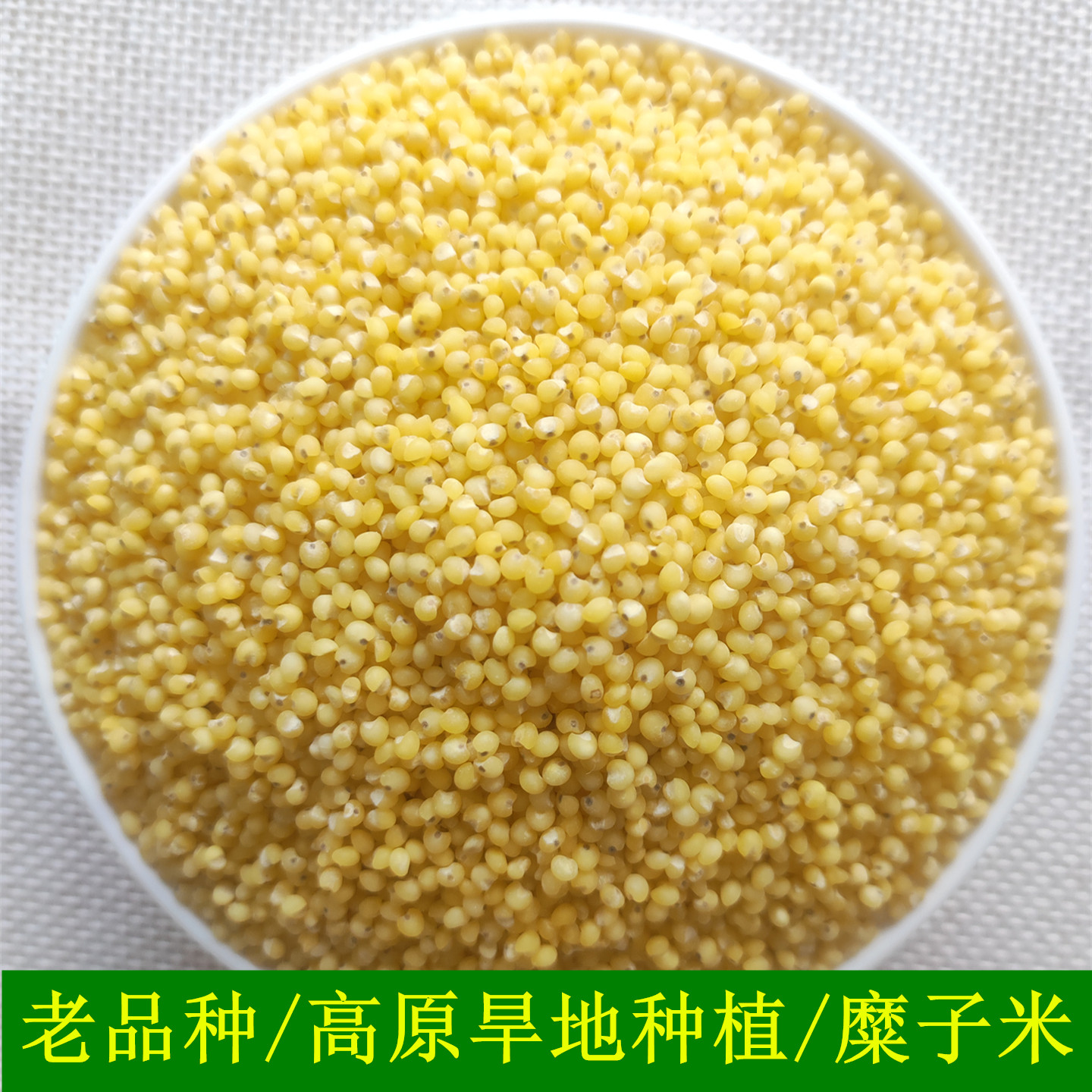 甘肃会宁旱地新货大黄米熬粥稀饭