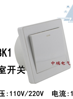 亮舟ABK1欧标单联开关船用舱室开关250V16A带暗盒防护等级20直销