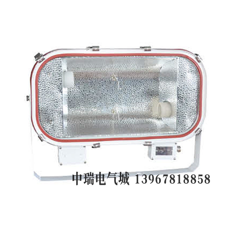 船用探照灯TG19钢化玻璃220V2x400W E40高纯度铝质反光镜密封IP56