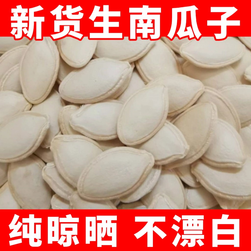 新货生南瓜子中大片3斤5斤装内蒙古精选带壳原味生南瓜籽健康零食