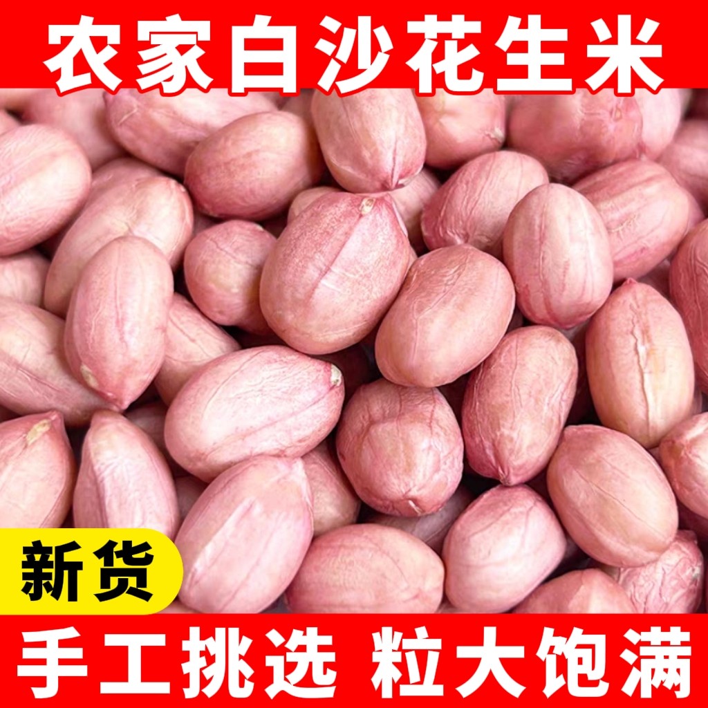 2026年新货生花生米5斤大粒白沙花生米农家新鲜饱满不带壳花生仁